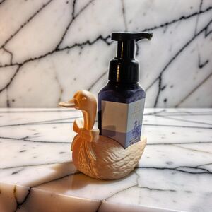 3D Print Duck Soap Holder In Champagne Color Soap Dish